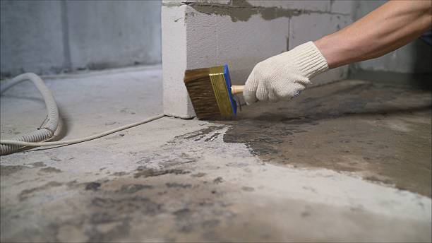 Crawl space vapor barrier installation in Fall Branch, TN